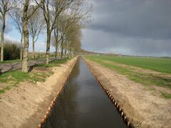 IMG_0047