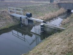 IMG_1690