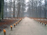 markeringpaaltjes met oranje kop Paleis Soestdijk